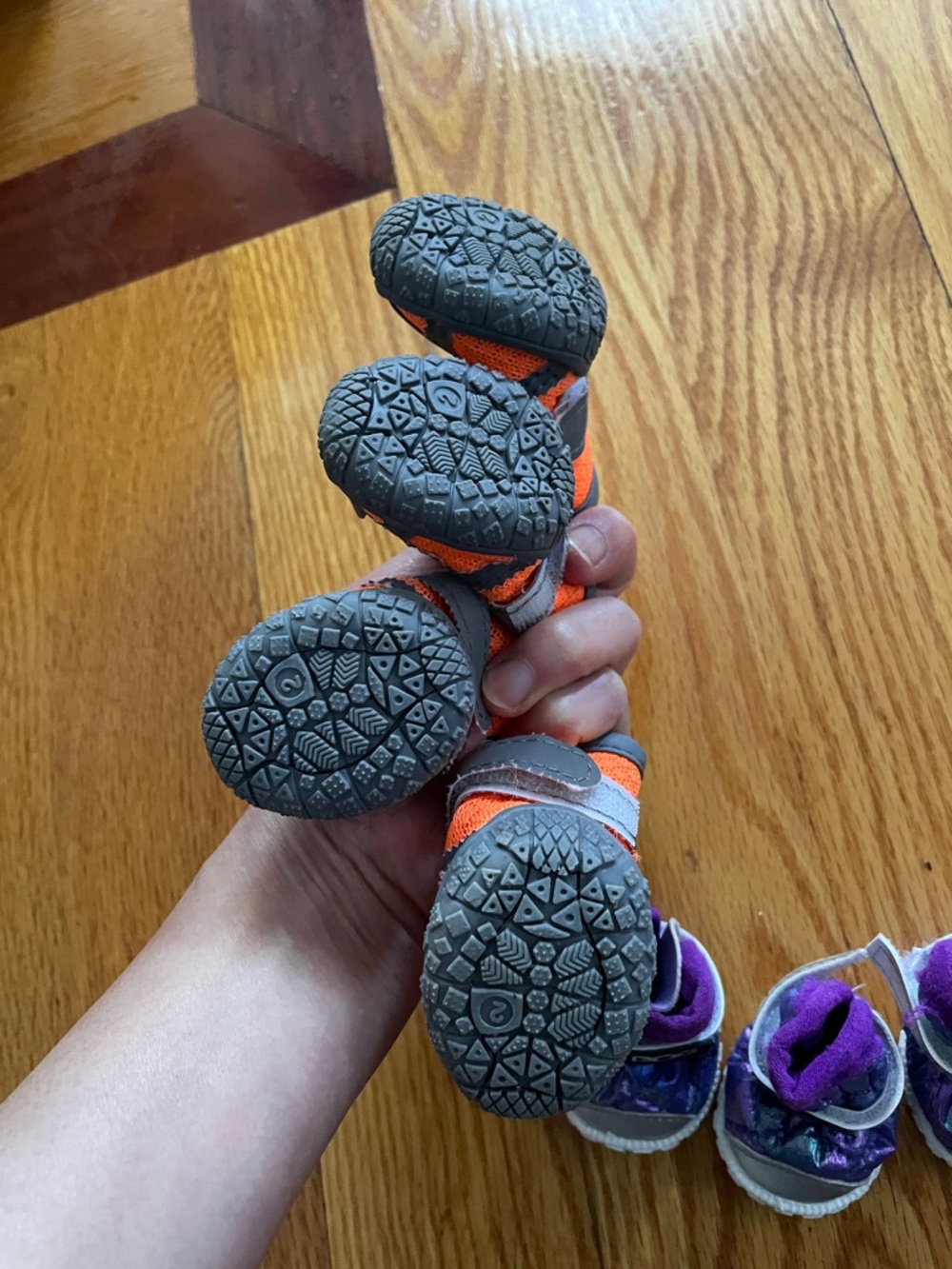 2 sets of Dog shoes (XS dog) - Picture 2 of 3